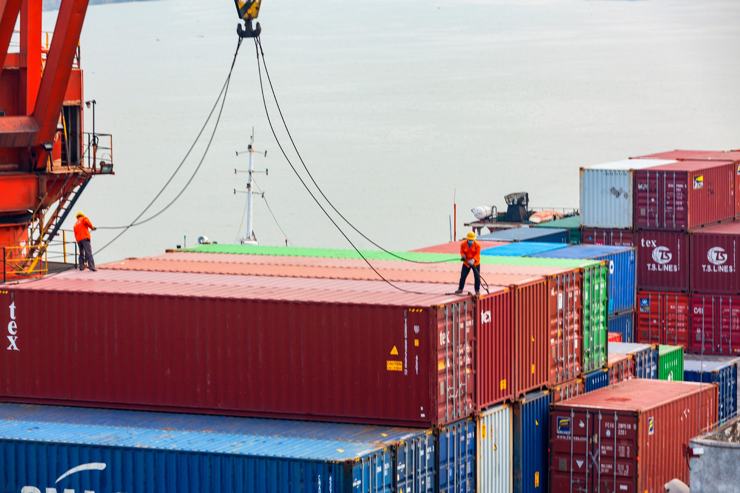 為什么貨代需要一款能實現(xiàn)預(yù)排柜的系統(tǒng)？